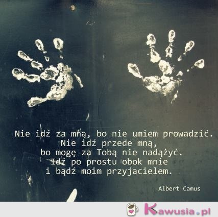 Nie idź za mną, bo nie umiem prowadzić...