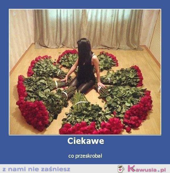 Ciekawe co przeskrobał