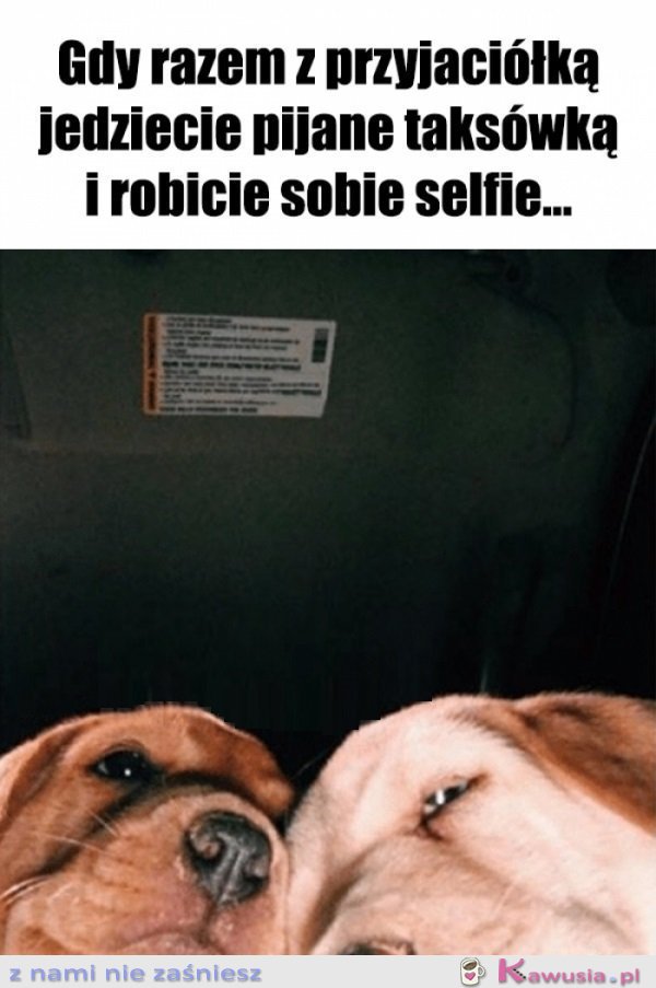 Nic dodać, nic ująć...