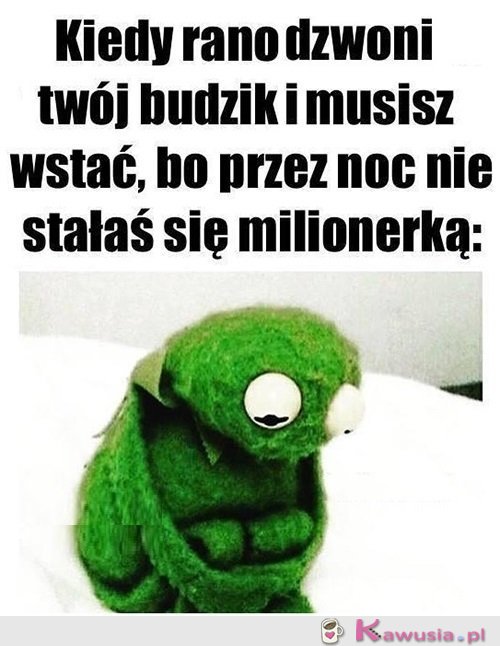 Może jutro...